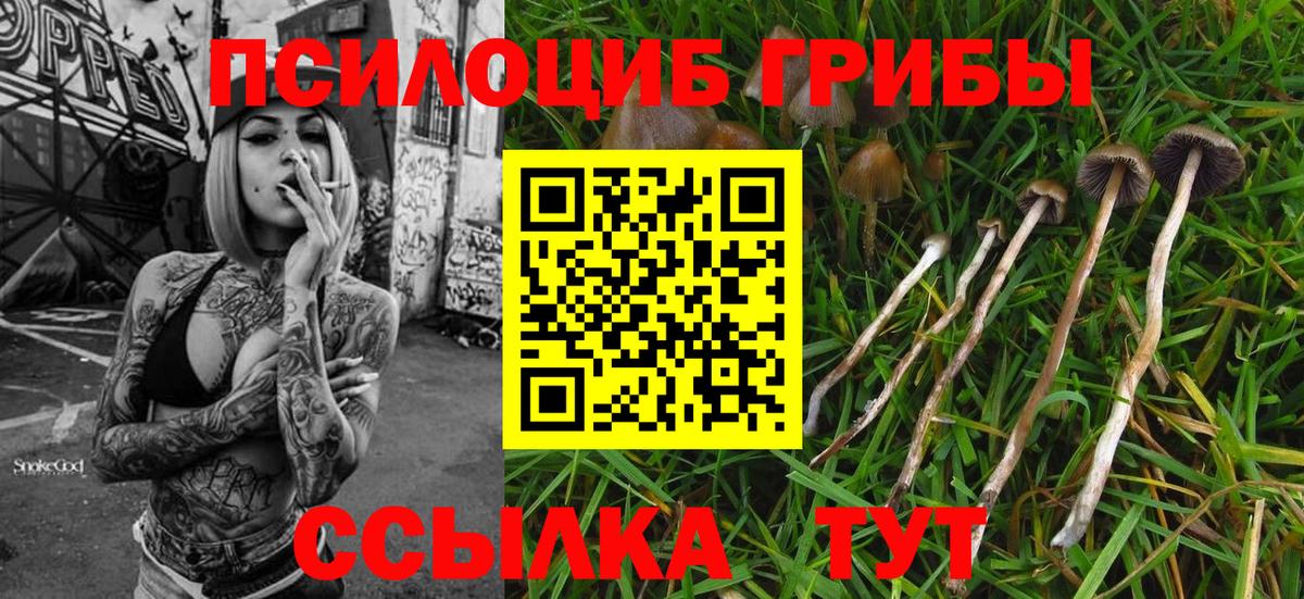 Псилоцибиновые грибы прущие грибы  Галлюциногенные грибы GOLDEN TEACHER  Коммунар  Вход с VPN 
