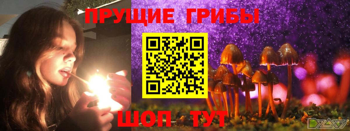 Галлюциногенные грибы ЛСД Коммунар